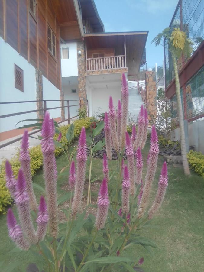 Domus Guesthouse Santana Ngoại thất bức ảnh